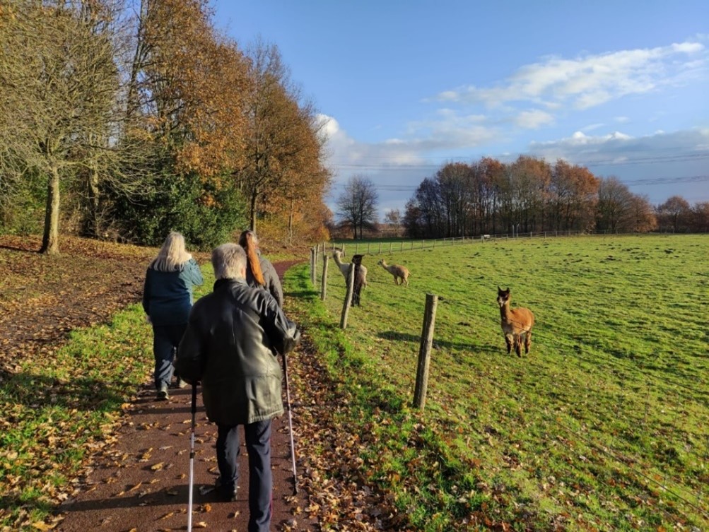 Wandelgroep Onstwedde